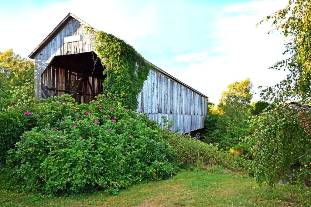 A bridge stands between an alcoholism diagnosis and recovery at searidge alcohol rehab