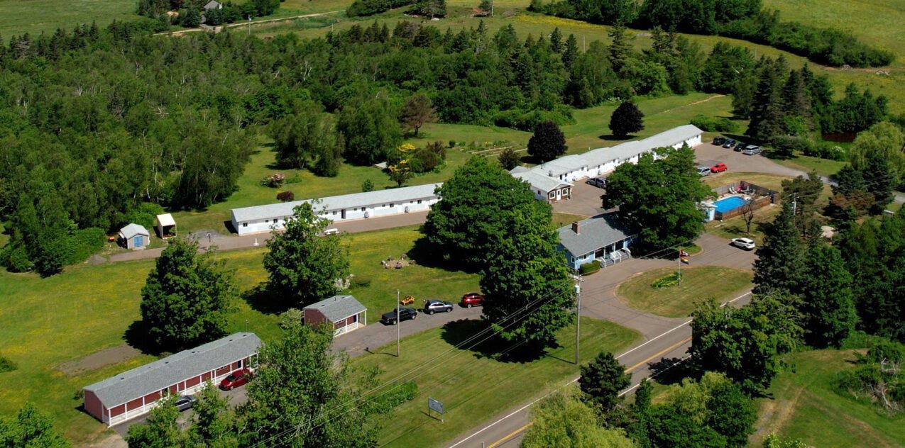 Get help to quit drinking