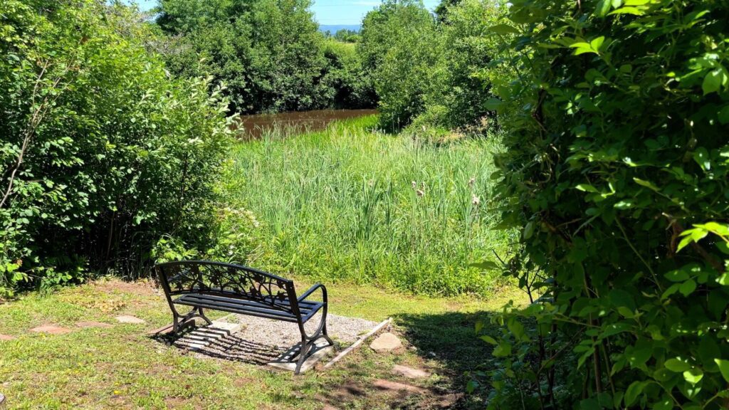 Rehab that allows you to heal in a natural setting.